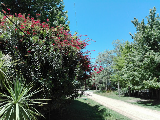 Estetica integral - Canelones