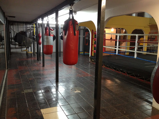 Invicto Boxing Fitness Gym