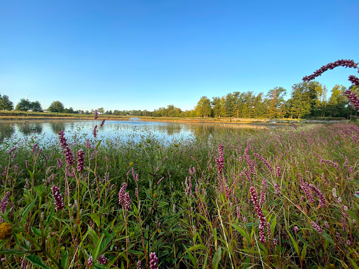 Golf Course «Hyatt HIlls Golf Complex», reviews and photos, 1300 Raritan Rd, Clark, NJ 07066, USA