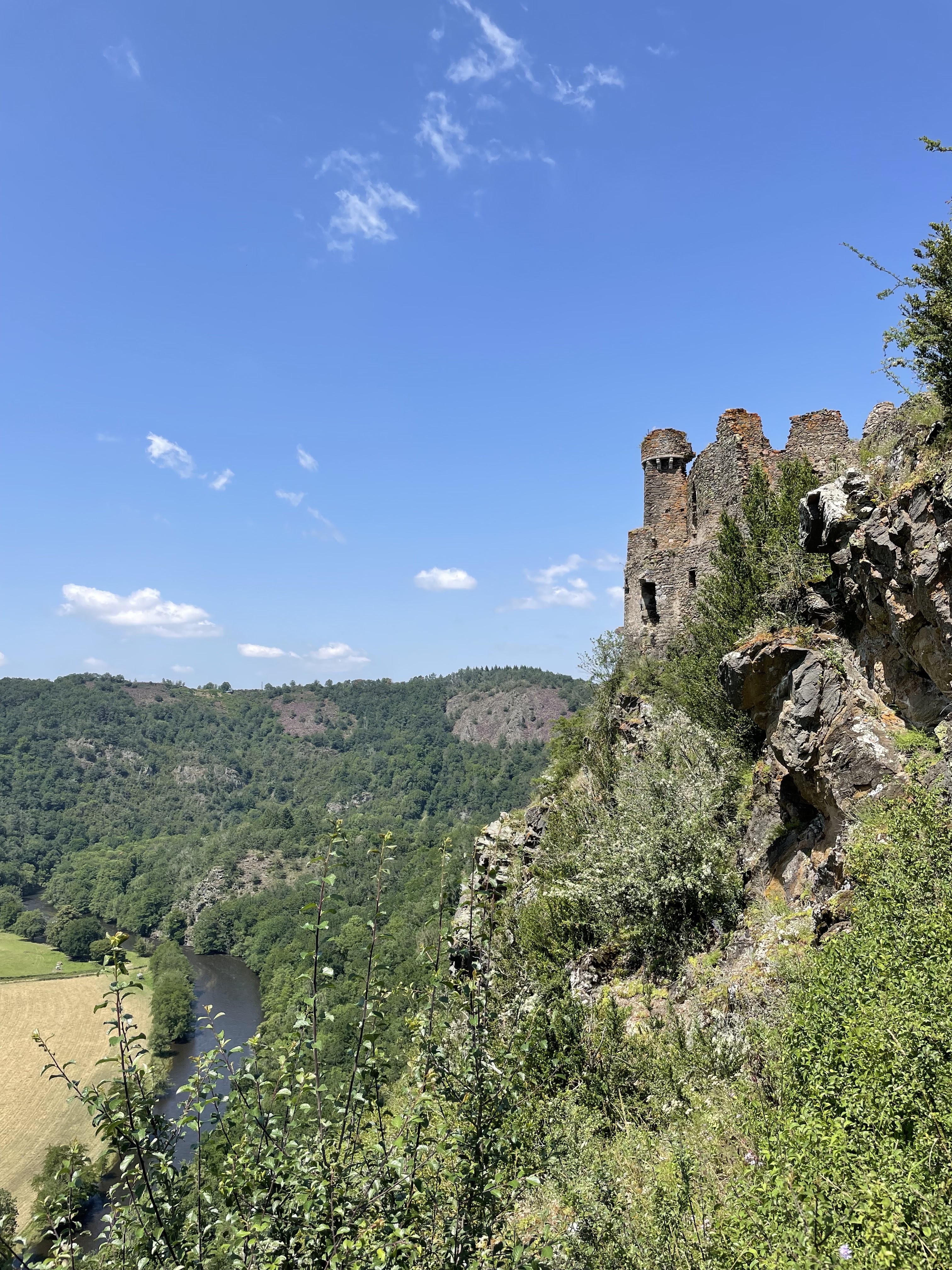Photo n° 3 de l'avis de Frédéric.i fait le 18/07/2021 à 12:47