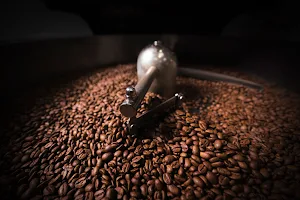 MOTMOT coffee roasters Lelekovice - pražírna kávy image