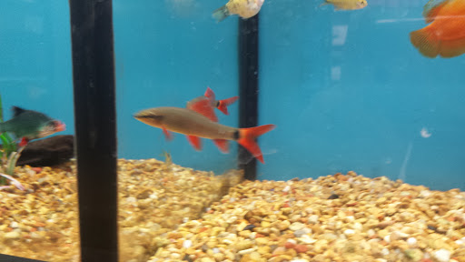 Pet Supply Store «Petco Animal Supplies», reviews and photos, 4751 W 29th St, Greeley, CO 80634, USA