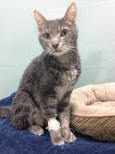 6394 S Dixie Hwy, Miami, FL 33143, USA