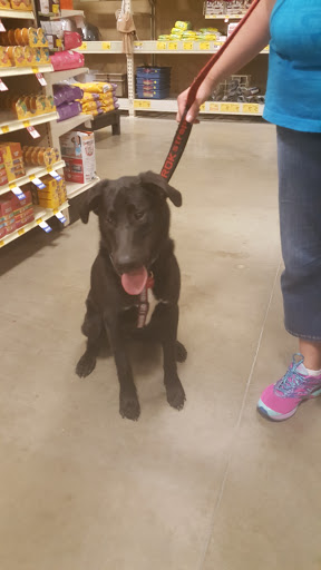 Pet Supply Store «PetSmart», reviews and photos, 36395 Euclid Ave, Willoughby, OH 44094, USA