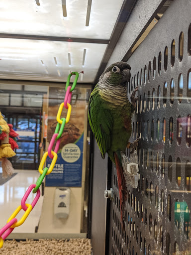 Pet Supply Store «PetSmart», reviews and photos, 8111 Brier Creek Pkwy, Raleigh, NC 27617, USA