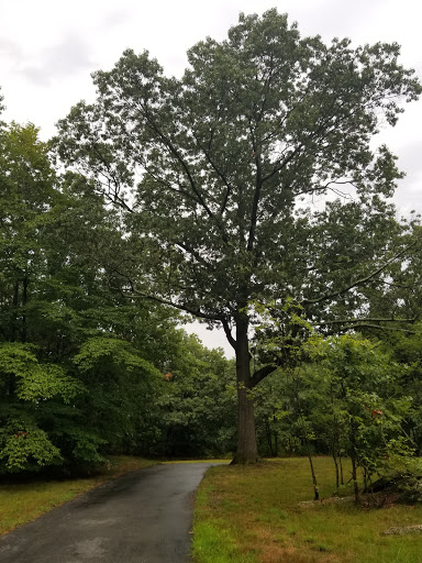 Park «Dorchester Park», reviews and photos, 2180 Dorchester Ave, Dorchester, MA 02124, USA