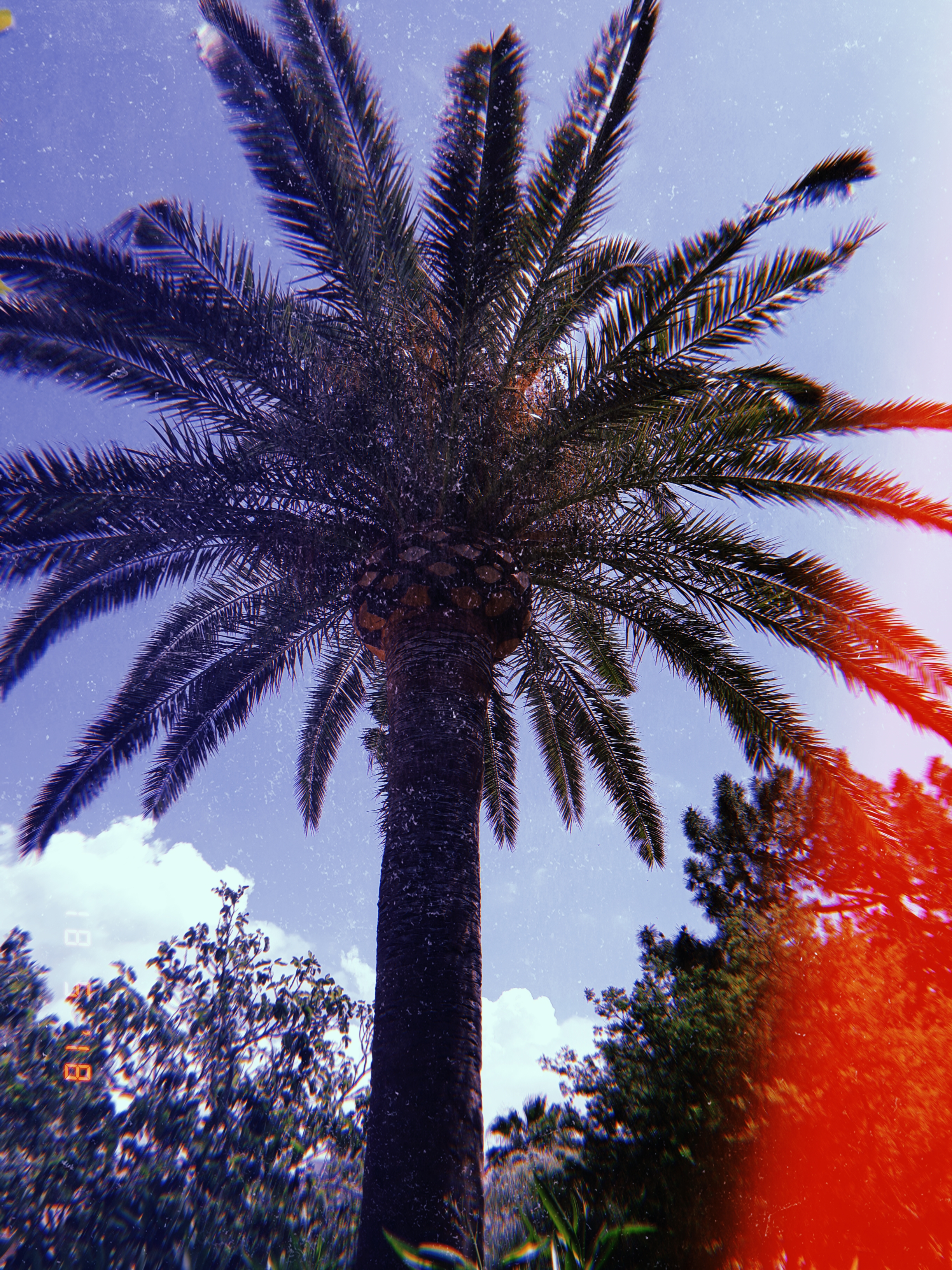 Photo n° 1 de l'avis de Vlada.. fait le 21/05/2018 à 10:02