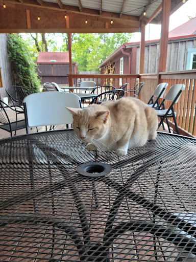 Winery «Adam Puchta Winery», reviews and photos, 1947 Frene Creek Rd, Hermann, MO 65041, USA