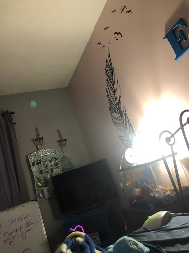 Pet Supply Store «Petco Animal Supplies», reviews and photos, 2520 E 3rd St, Bloomington, IN 47401, USA