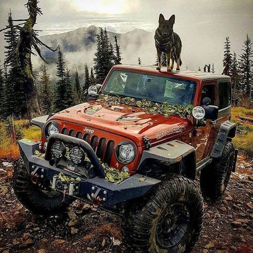 Jeep Dealer «Dulles Chrysler Jeep Dodge Ram Viper», reviews and photos, 109 Catoctin Cir SE, Leesburg, VA 20175, USA