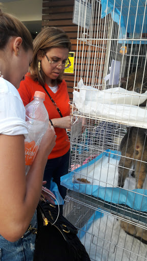 MVet em São Paulo - SP