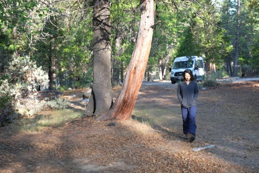 Trekker Vans image