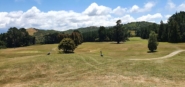 Comments and reviews of Te Puia Hot Springs Golf Club
