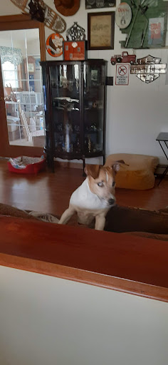 Dexter Veterinary Clinic