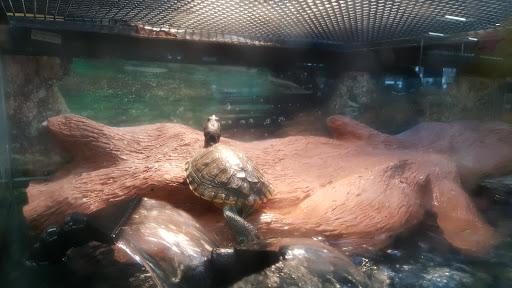 Pet Supply Store «Petco Animal Supplies», reviews and photos, 1203 SE Everett Mall Way f, Everett, WA 98208, USA