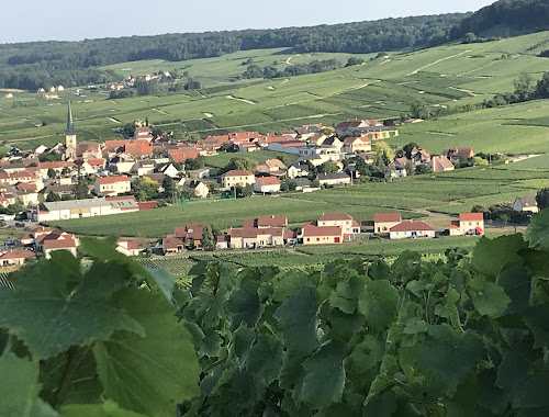 Magasin de vins et spiritueux CHAMPAGNE THIEBAULT FREDERIC Pargny-lès-Reims