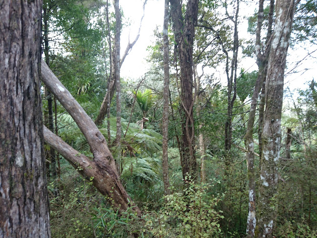 McElroy Scenic Reserve