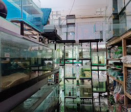 JN Aquarium dan PetShop photo