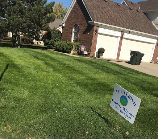 Lush Lawn image 2