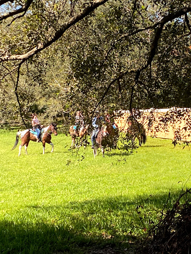 Nature Preserve «Pine Island Ridge Natural Area», reviews and photos, 3900 SW 100th Ave, Davie, FL 33328, USA