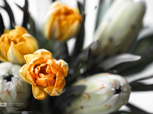 Florist «Country Garden Florist», reviews and photos, 9559 US-42, Prospect, KY 40059, USA