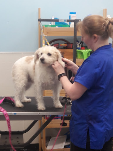 Pet Store «Pets Plus - Lansdale», reviews and photos, 555 S Broad St, Lansdale, PA 19446, USA