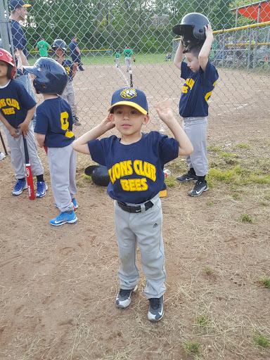 Historical Landmark «Mabel Hartzell Home», reviews and photos, 840 N Park Ave, Alliance, OH 44601, USA