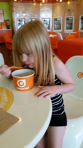 Frozen Yogurt Shop «Orange Leaf Frozen Yogurt», reviews and photos, 4866 1st Ave NE, Cedar Rapids, IA 52402, USA