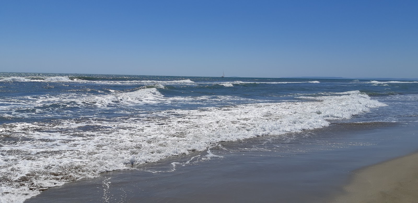 Foto von Espiguette wild beach befindet sich in natürlicher umgebung
