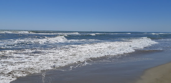 Espiguette wild beach