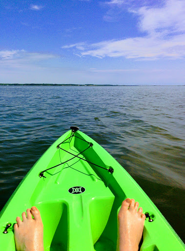 National Park «Assateague Island National Seashore», reviews and photos, 7206 National Seashore Ln, Berlin, MD 21811, USA