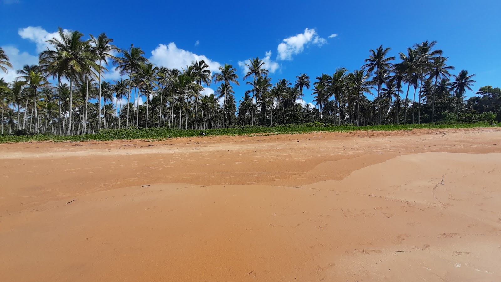 Φωτογραφία του Παραλία των Φοινικόδενδρων - δημοφιλές μέρος μεταξύ λάτρεις της χαλάρωσης