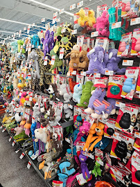 Pet Supplies Plus Chesapeake Great Bridge - Photo 9 - Car repair in Chesapeake, VA, Virginia Beach