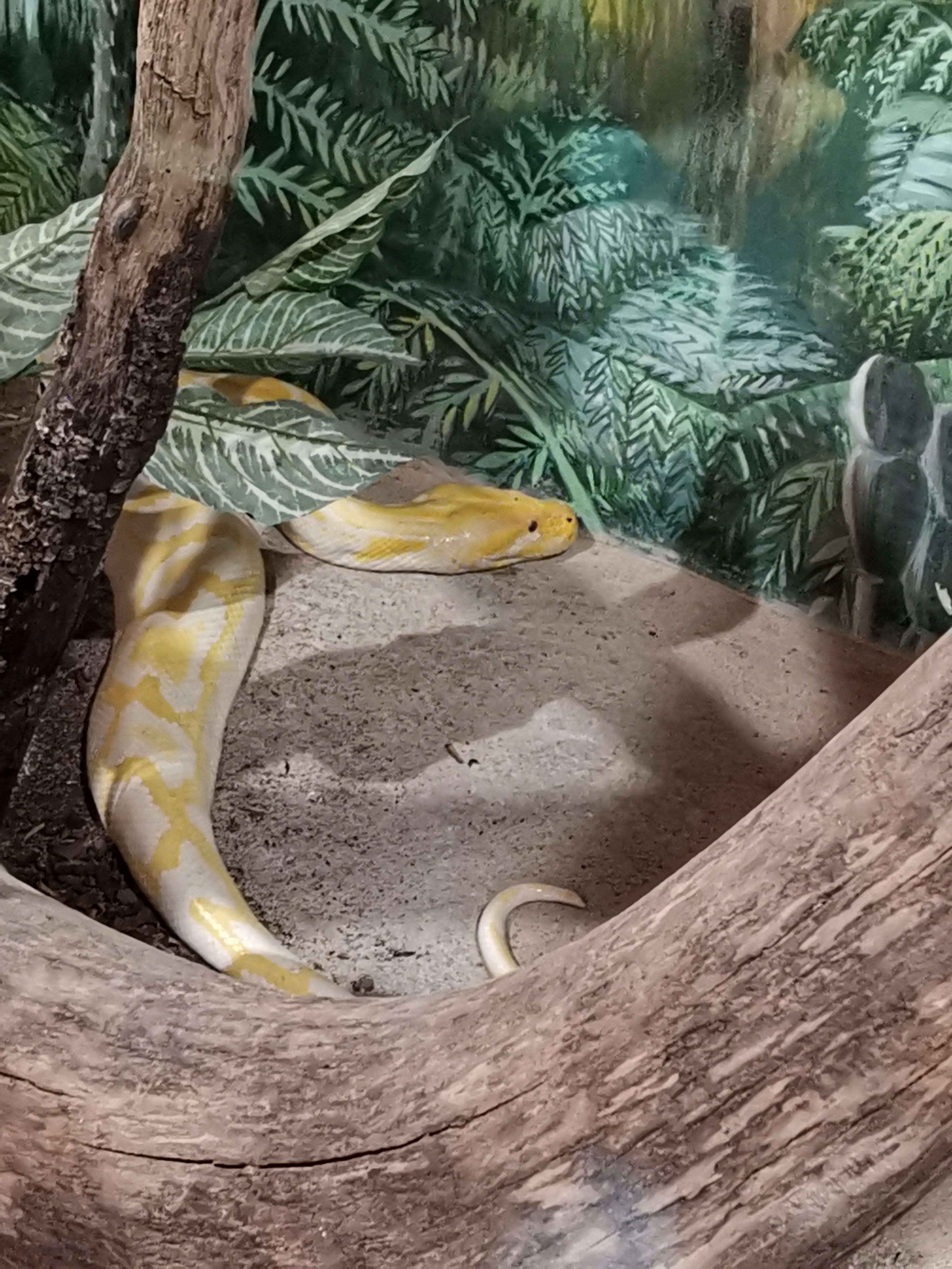 Photo n° 2 de l'avis de Jerome.a fait le 23/10/2021 à 18:04