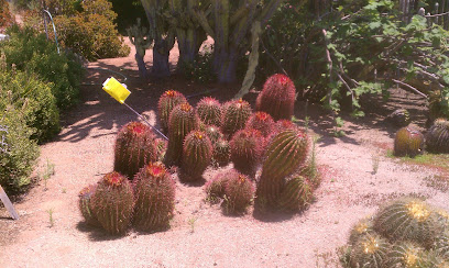 Grigsby Cactus Gardens