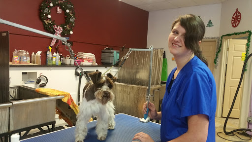 Pooch Parlor Ponderay