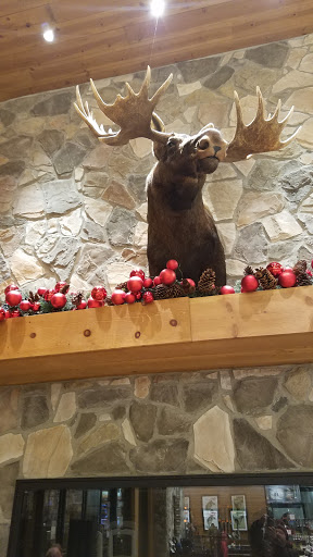 Outdoor Sports Store «Field & Stream», reviews and photos, 1510 Polaris Pkwy B, Columbus, OH 43240, USA