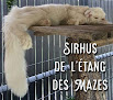 Chatterie de l'étang des Mazes Saint-Jean-aux-Amognes