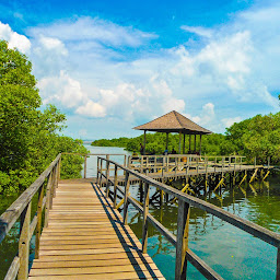 Mangrove Denpasar, Last Point
