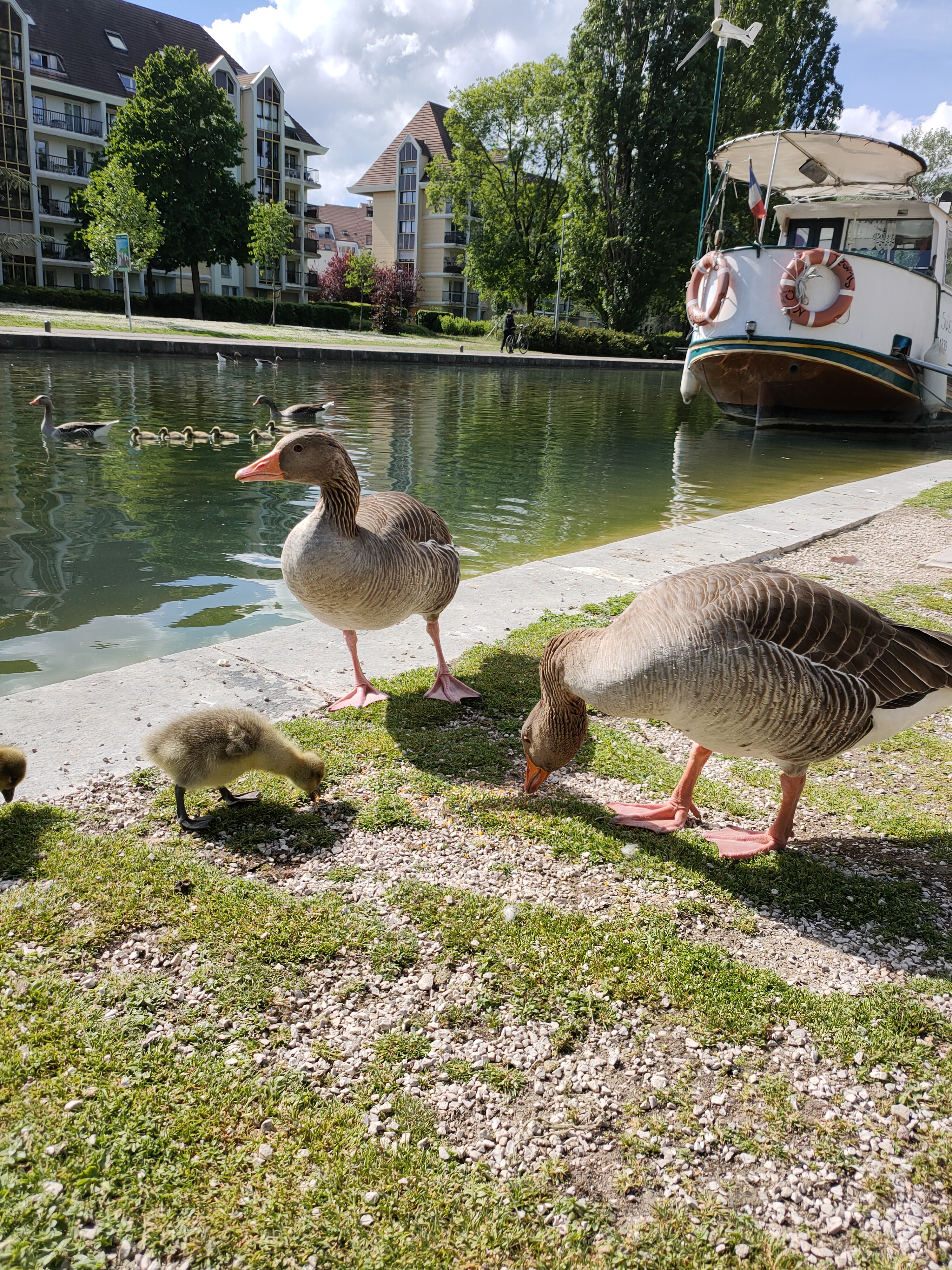 Photo n° 8 de l'avis de Justine. fait le 15/05/2021 à 20:07