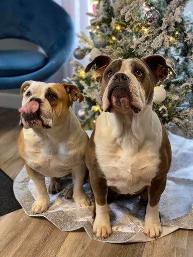 Insurance Agency «Lesa Yoho - State Farm Insurance Agent», reviews and photos