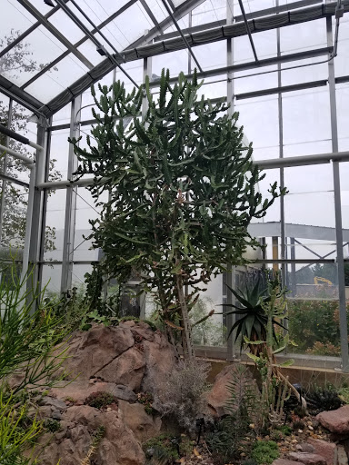 Gift Shop «Meijer Gardens Gift Shop», reviews and photos, 1000 E Beltline Ave NE, Grand Rapids, MI 49525, USA