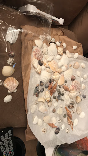 Gift Shop «Sea Shell Shoppe», reviews and photos, 120 N Austin St, Rockport, TX 78382, USA