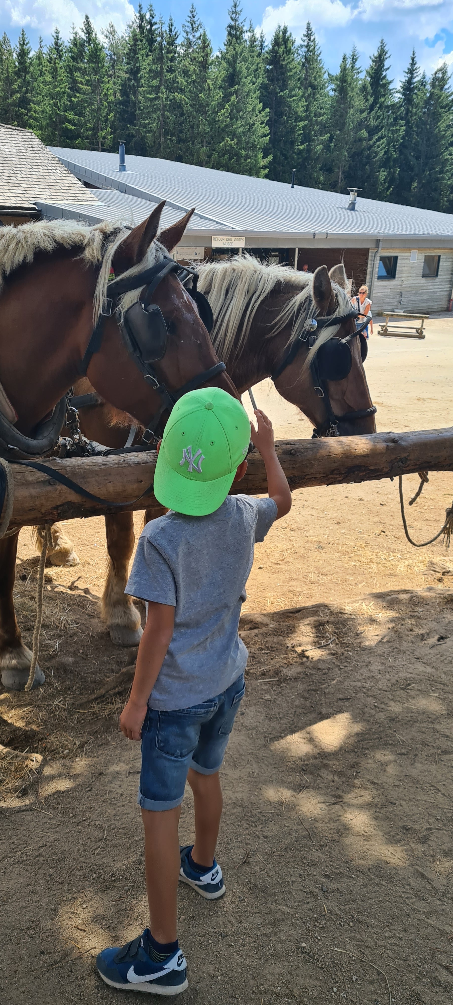 Photo n° 12 de l'avis de Marion.a fait le 05/08/2022 à 13:21