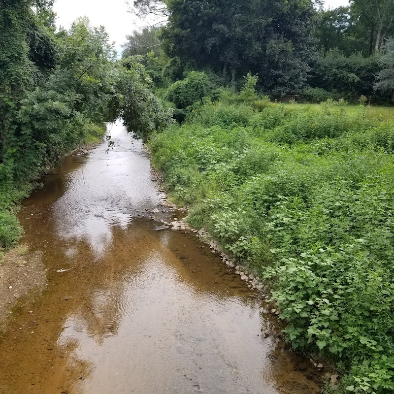 Briar Creek Greenway (Randolph Road)