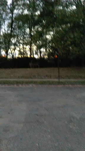 Auto Parts Store «AutoZone», reviews and photos, 2310A Lincoln Way E, Massillon, OH 44646, USA