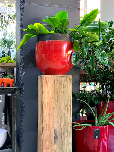 Florist «Red Square Flowers», reviews and photos, 337 W Mifflin St, Madison, WI 53703, USA