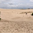 Jockey's Ridge State Park