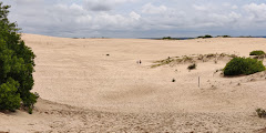 Jockey's Ridge State Park