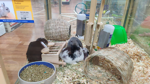 Pet Supply Store «Pet Supermarket», reviews and photos, 3316 Battleground Ave, Greensboro, NC 27410, USA